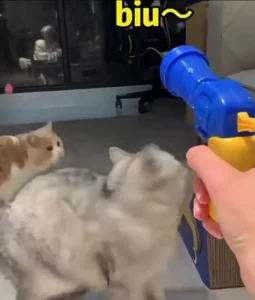 🔥tiktok viral! vanillavani interactive cat toy gun silent launch w/ 10 soft balls | anxiety relief enrichment for indoor cats | bonding game for bored cats & kittens